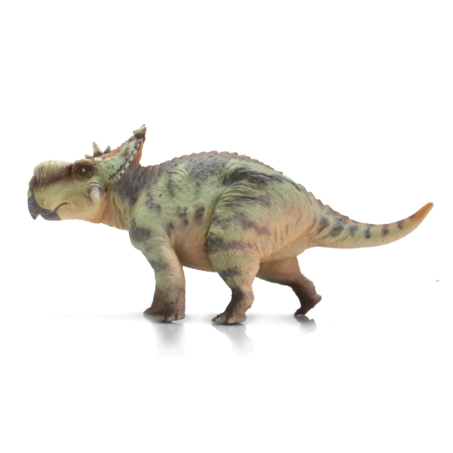 Amazon.com: HAOLONGGOOD Pachyrhinosaurus (GuoSheng) : Industrial